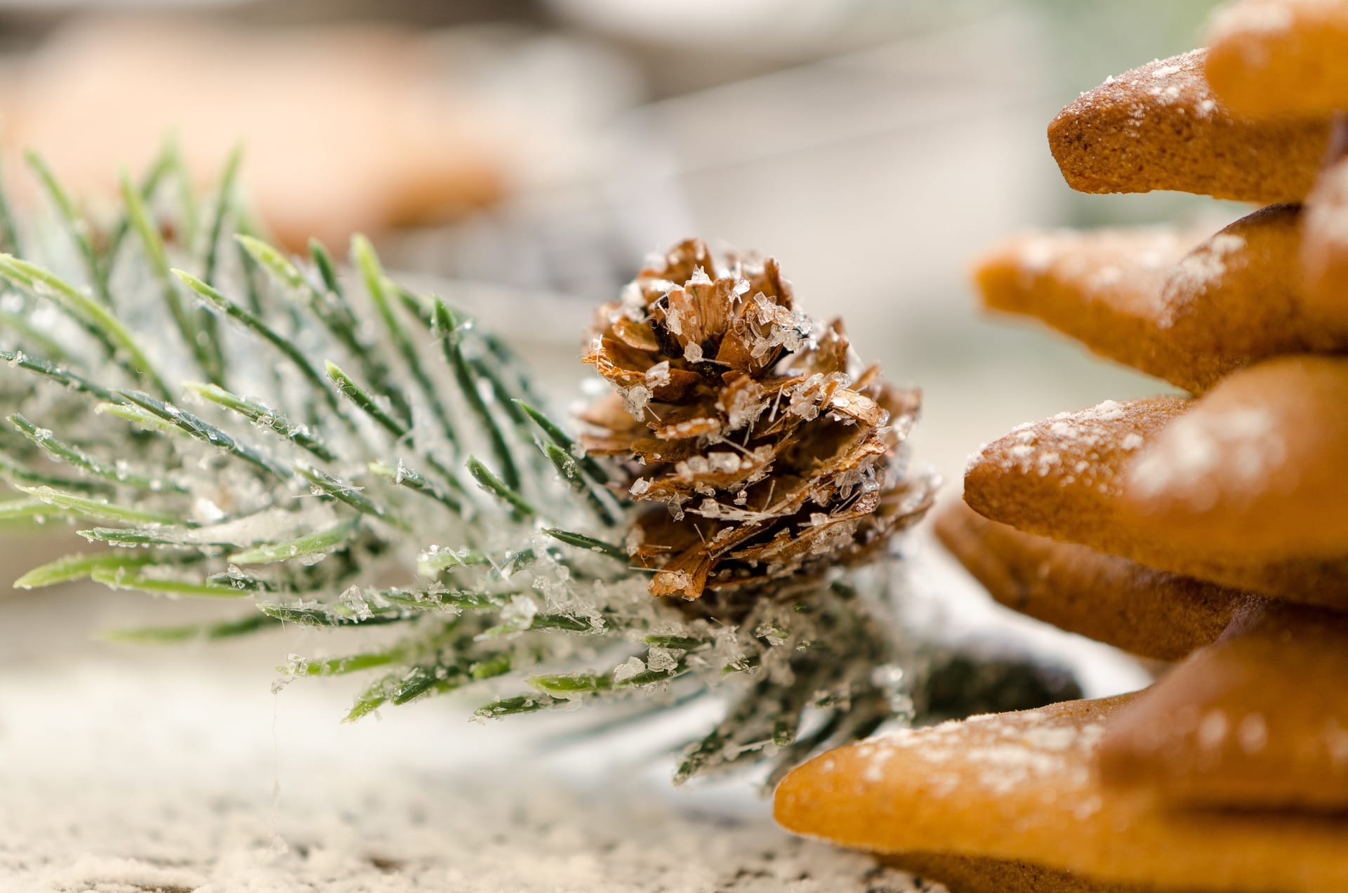 No Holy Gain, but Pure Joy