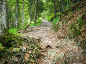 Denkst Du Dir auch, warum ich?